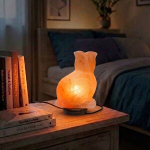 Нощна лампа от Хималайска сол, Бухал / Owl